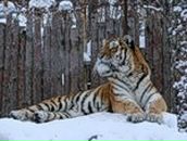 Фотография Иванова Александра