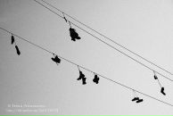 Фотография Афанасовой Ирины