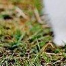 Леся Андреєва фотография #20 (источник - https://vk.com/id142723263)