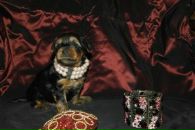 Фотография Соколовой Ирины