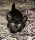 Фотография Комара Руслана