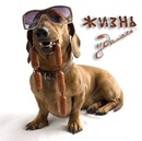 Андрюха Гнатів фотография #7 (источник - https://vk.com/id131469125)