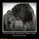 Фотография Морожникова Артёма