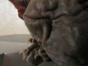 Фотография Ковалёвой Ирины