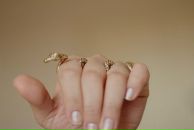 Далида Абдулаева фотография #27 (источник - https://vk.com/id673657)