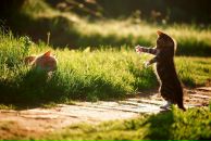 Ley La фотография #11 (источник - https://vk.com/id4503105)