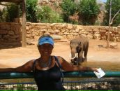 Фотография Школьник Марины