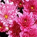 Іра Бабік фотография #40 (источник - https://vk.com/id69699902)