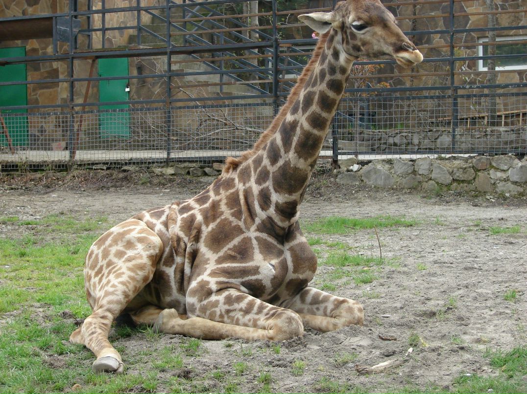 Константин Черников фотография #11