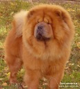 Юлія Шпотюк фотография #32 (источник - https://vk.com/id133659693)