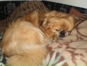 Фотография Дойченко Наташи