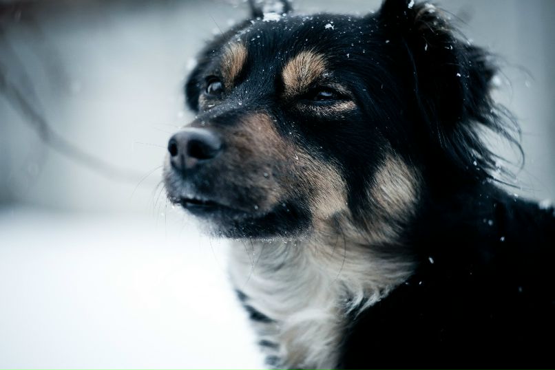 Антон Девяткин фотография #21