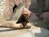 Фотография Зыкина Сергея