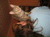 Фотография Sefatigue George