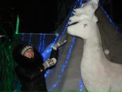 Фотография  