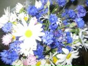 Фотография Севастьяновой Оксаны