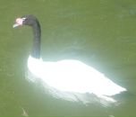 Фотография Пуляевой Валентины