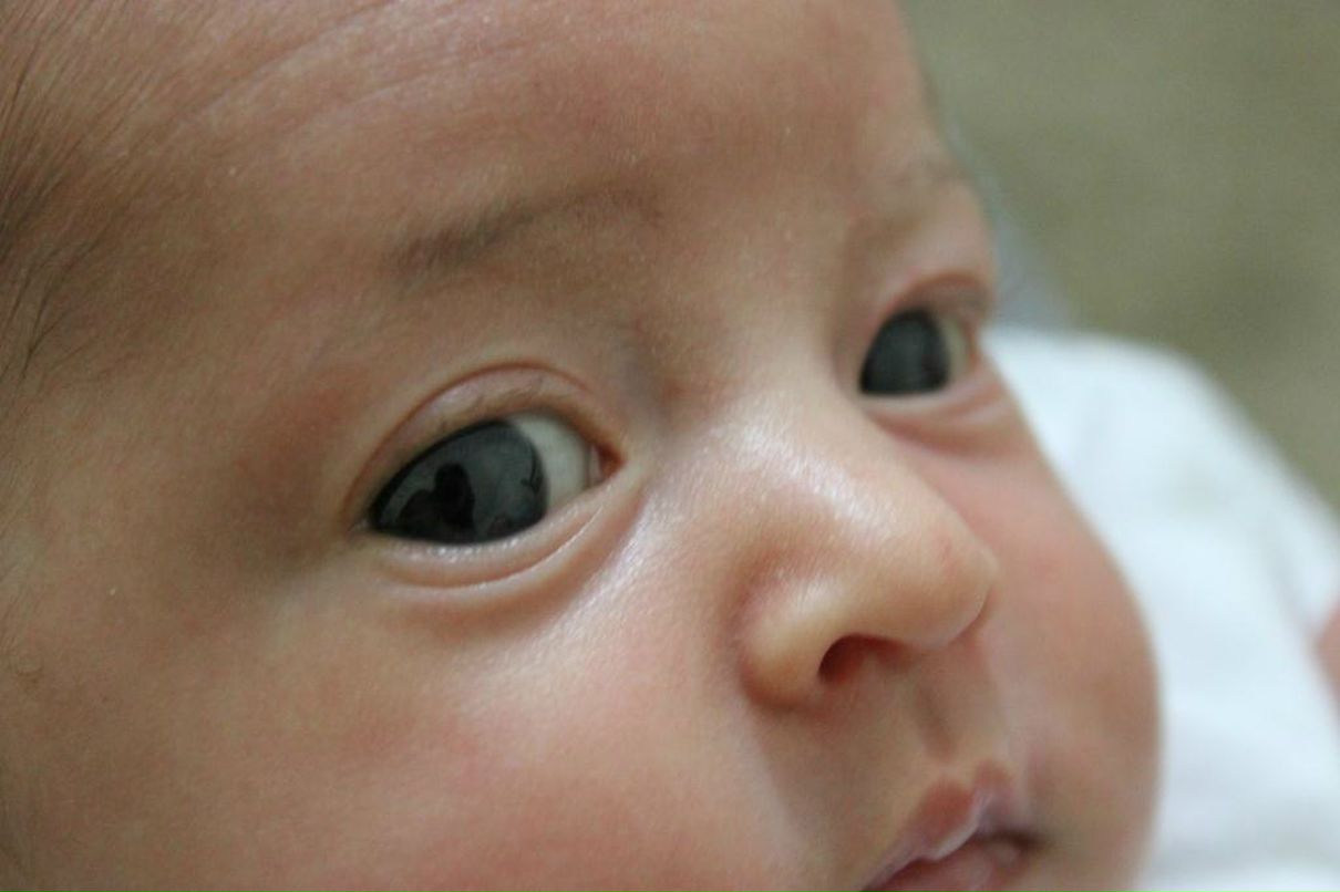 Ирина Левшиц фотография #15