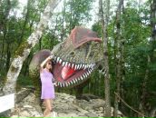 Фотография Новиковой Юли