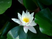 Фотография Ешкеевой Натали