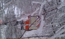 Дмитрий Плотников фотография #15 (источник - https://vk.com/id378898)