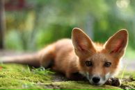 Фотография Калининой Лидии