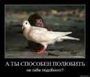 Маріанна Терендій фотография #25 (источник - https://vk.com/id50166892)