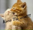 Коля Фрікке фотография #44 (источник - https://vk.com/id160371656)