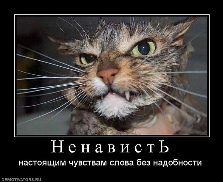 Дмитрий Петров фотография #11
