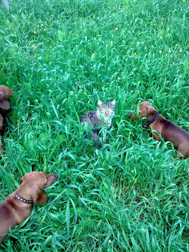 Ирина Мальцева фотография #1