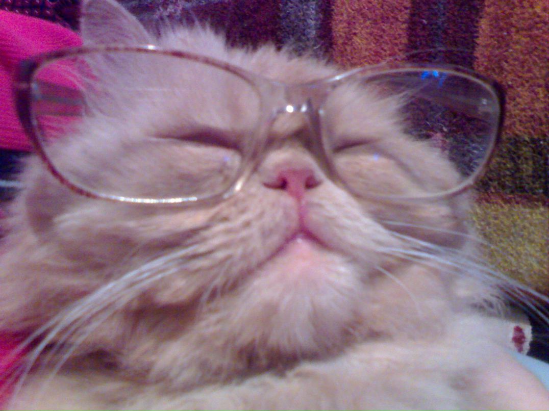 Dime Drol фотография #4