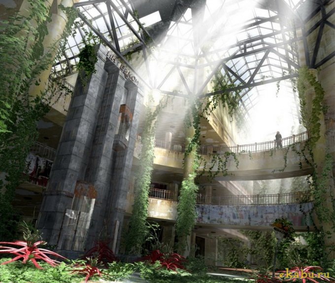 Антон Засада фотография #27