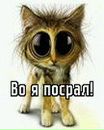 Віка Логвинюк фотография #21 (источник - https://vk.com/id167115770)
