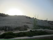 Фотография Лужинской Ольги