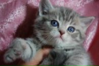 Оксана Гібріченко фотография #1