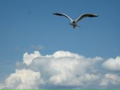 Фотография Рудиной Екатерины