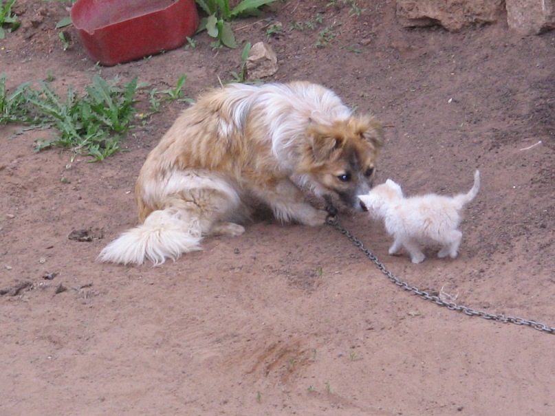 Сергей Костенко фотография #47