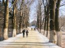 Іван Пілат фотография #23 (источник - https://vk.com/id136128445)
