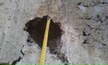 Роман Винтер фотография #44 (источник - https://vk.com/id55490)