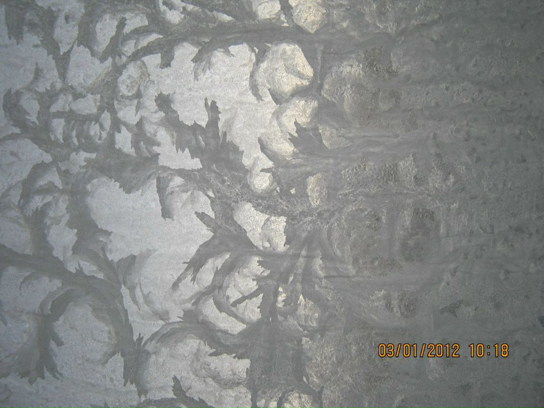 Виктор Ледяев фотография #45