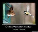 Оля Головашкіна фотография #23 (источник - https://vk.com/id8498135)