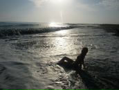 Фотография Dorosh Dashoulya