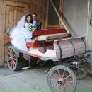 Віталіна Мильо фотография #8 (источник - https://vk.com/id76995775)