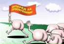 Фотография Музафаровой Нелли