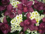 Фотография Кузнецовой Алёны