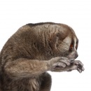 Фотография Лукьянова Егора