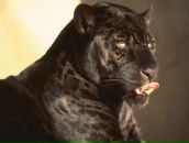 Фотография Филипповой Василины