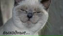 Сергій Жуков фотография #9 (источник - https://vk.com/id30623669)