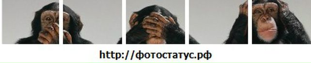 Дмитрий Кост фотография #23 (источник - https://vk.com/id3182207)