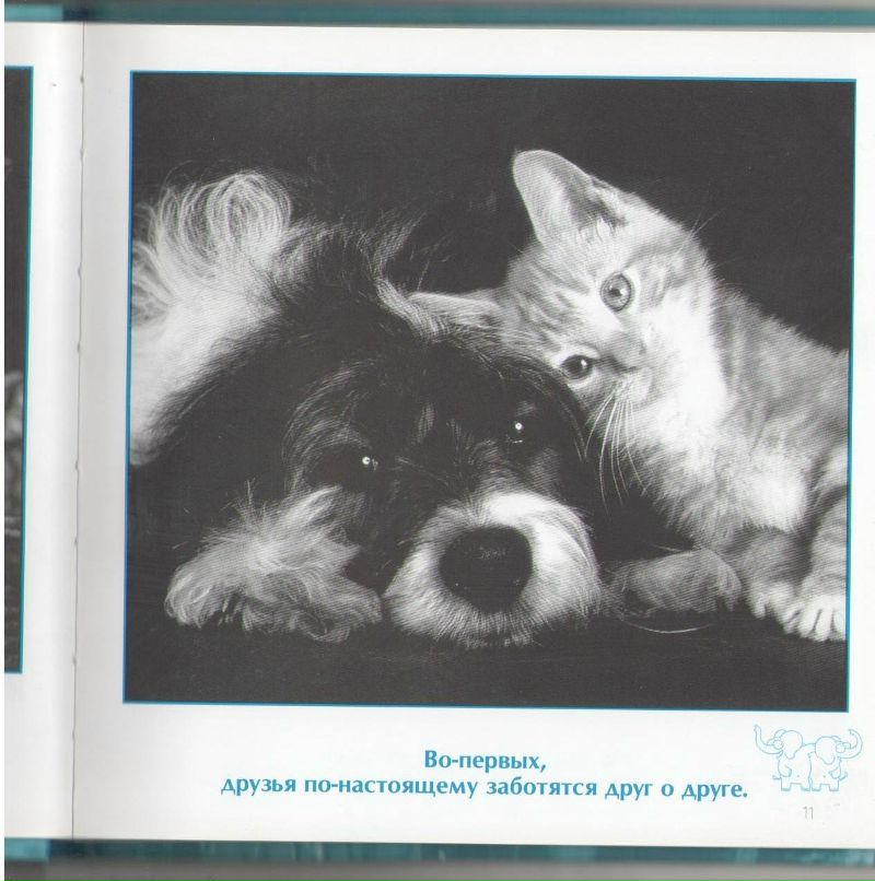 Роман Сербененко фотография #50